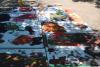 dsc_0995_96_t1.jpg
